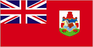 Due Diligence Compliance & Financial Risk Search, Bermuda