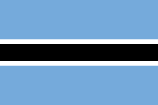 Employee Audits & Monitoring, Botswana