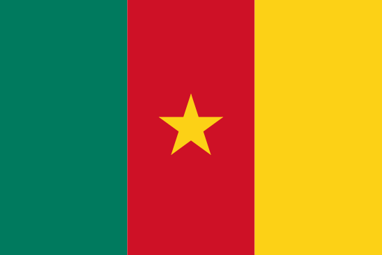 Employee Audits & Monitoring, Cameroon