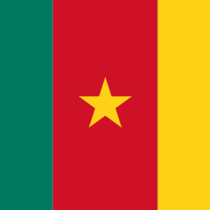 Identity Check, Cameroon