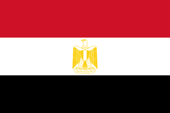 Instant Passport Validation, Egypt