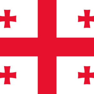 Bankruptcy Check, Georgia