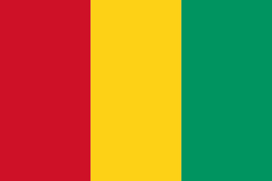 Driving License Check, Guinea