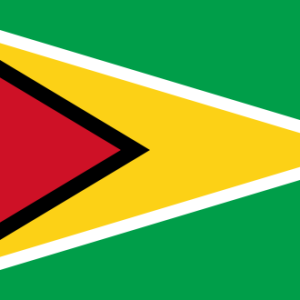 Instant Passport Validation, Guyana