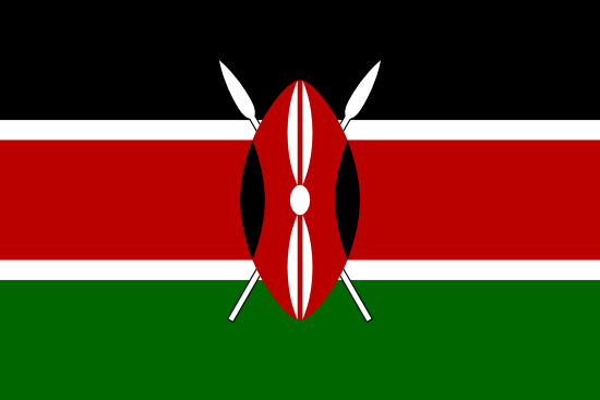 Due Diligence Global Negative Media Search, Kenya
