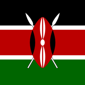 Instant Passport Validation, Kenya