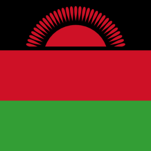 Instant Passport Validation, Malawi