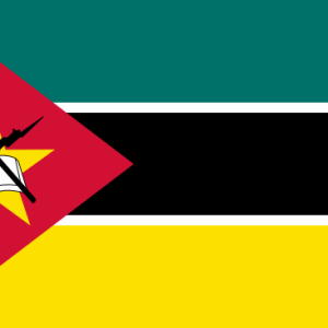 Instant Passport Validation, Mozambique