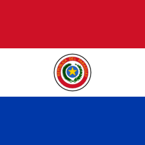 Personal Credit Report, Paraguay
