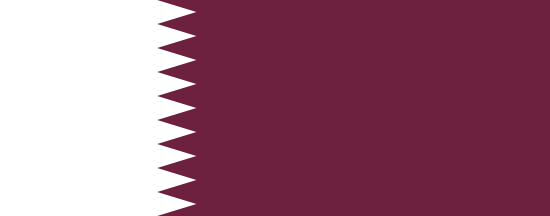 Instant Passport Verification, Qatar