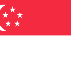 Criminal Intelligence Check (CIC), Singapore