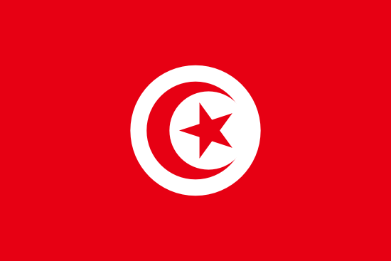Instant Passport Validation, Tunisia