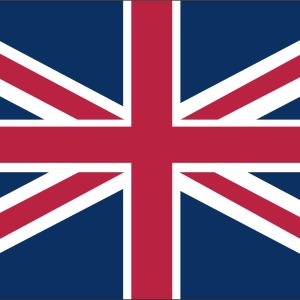 Bankruptcy Check, United Kingdom