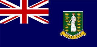 Professional Licence/ Certificate Check, Virgin Islands (British)