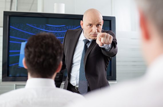 Backcheckgroup Portfolio Directorship Check