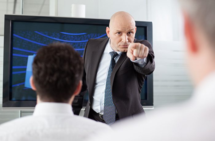 portfolio director Backcheckgroup Portfolio Directorship Check