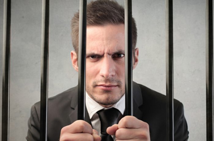 Backcheckgroup Employment Portfolio