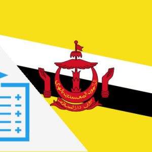 Instant Passport Validation, Brunei